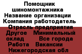 Помощник шиномонтажника › Название организации ­ Компания-работодатель › Отрасль предприятия ­ Другое › Минимальный оклад ­ 1 - Все города Работа » Вакансии   . Нижегородская обл.,Нижний Новгород г.